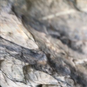 Meet your Posher, Shaylin